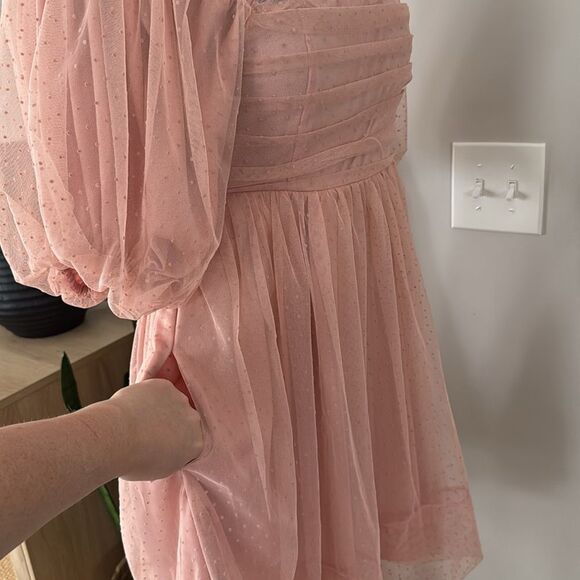 Mable Whimsical Blush Organza Babydoll Muse Chiffon Tulle Swiss Dot Skater Dress - Picture 10 of 13